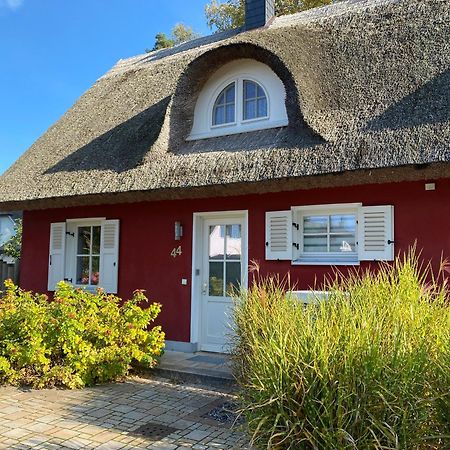 Ferienhaus Greta Глове Экстерьер фото